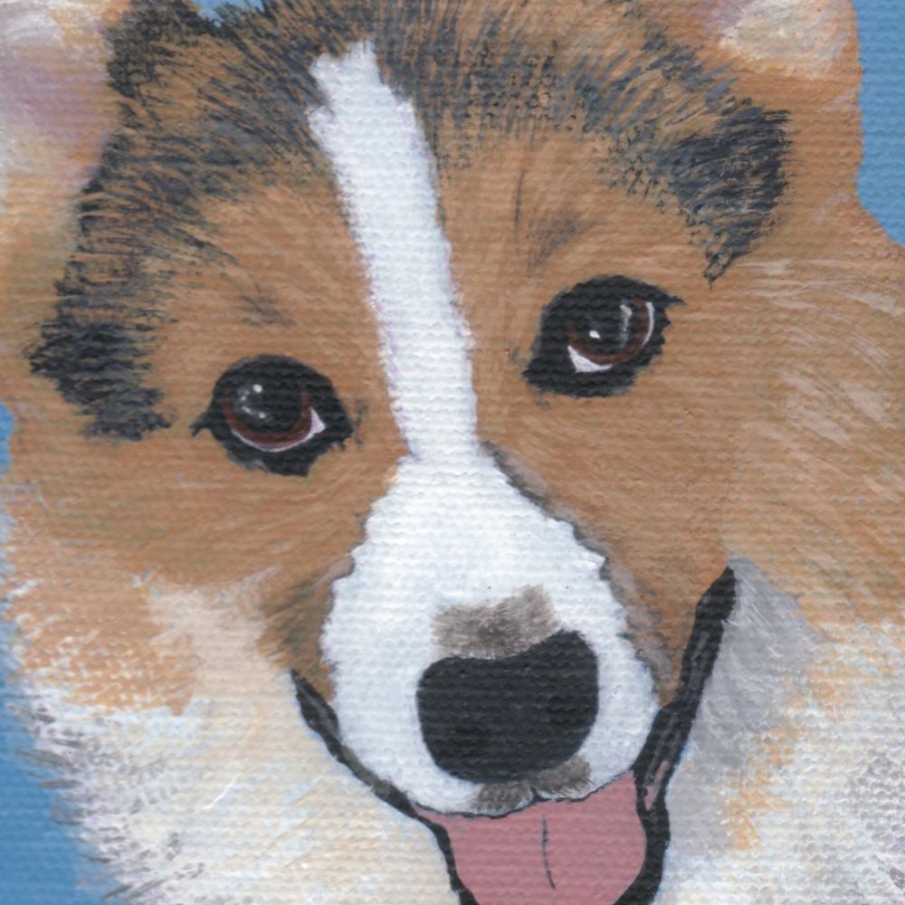 Meet your Posher, Andrea